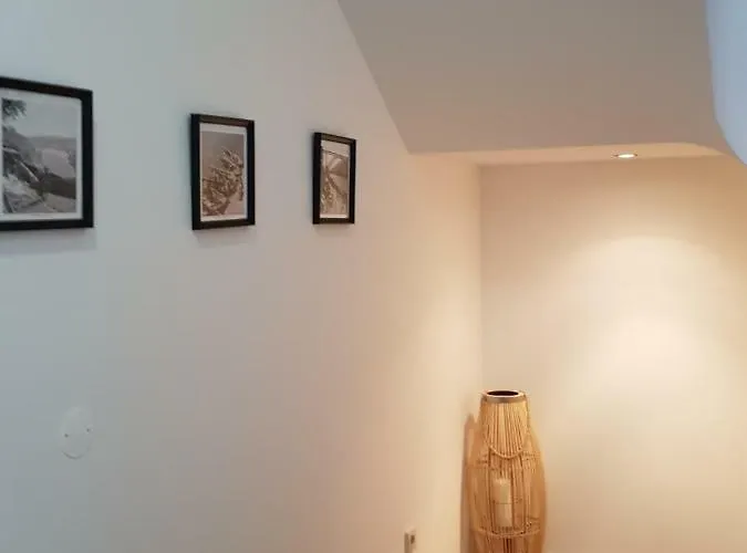 Ohh - Boutique Oporto